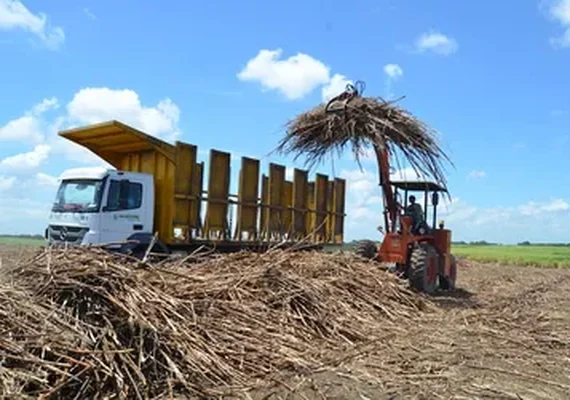 Asplana defende subvenção para evitar colapso do setor canavieiro