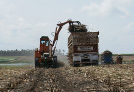 Moagem avança na safra 22/23 e ultrapassa 17 mi de toneladas de cana processadas
