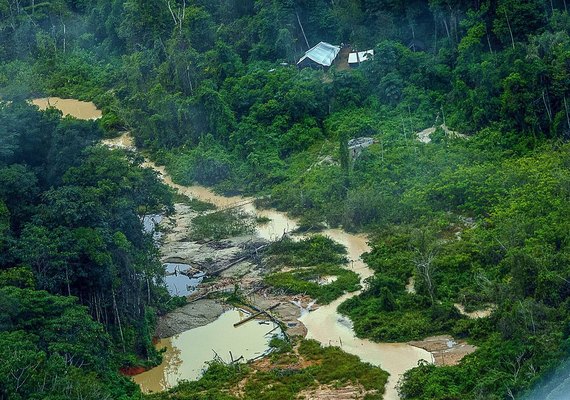 PF ouve primeiros depoimentos sobre ataque na Terra Yanomami