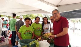 Edição de julho da Feira Sustentável Sabor do Campo acontece neste domingo (09)