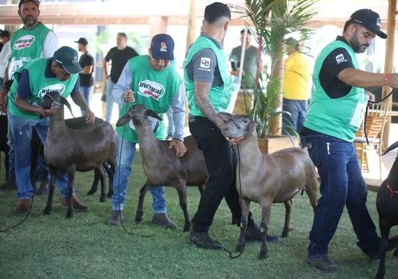 75ª Expoagro-AL terá programação para todas as cadeias produtivas; confira