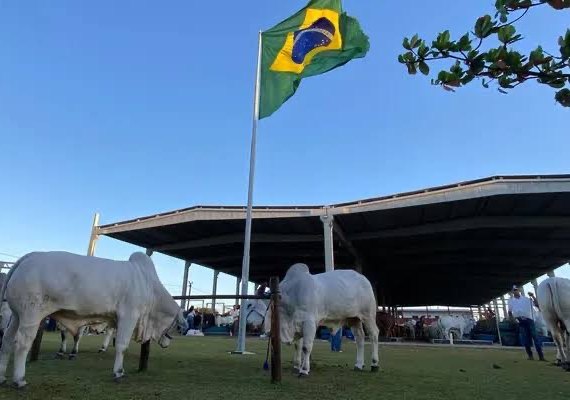 Parque da Pecuária inicia recepção dos animais para a 75ª Expoagro Alagoas nesta segunda (20)