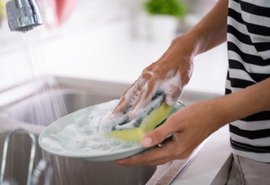 Esponja de lavar prato pode conter mais bactérias do que o vaso sanitário, diz especialista
