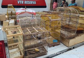 Polícia apreende 82 pássaros em situação de cativeiro