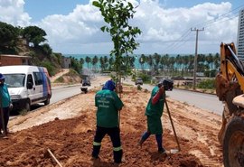 Prefeitura de Maceió inicia plantio de árvores em canteiro da Rota do Mar