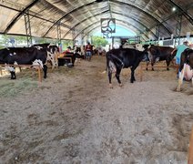 Secretaria de Agricultura prepara programação para a 40ª Expo Bacia Leiteira