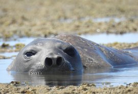 Caso Leôncio: necropsia aponta abate violento e caso é levado ao MPF