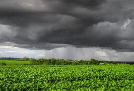 Clima de outono preocupa safra com calor e chuva irregular