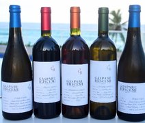 Da Itália para Maceió, conheça o vinho artesanal Gaspare Buscemi