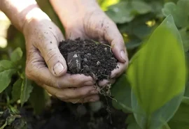 Agricultores priorizam redução de endividamento na safra 2025/26