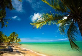 Praia do Patacho pode ser a primeira a receber Bandeira Azul em Alagoas