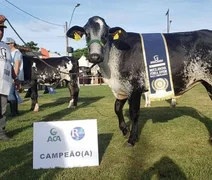 Expoagro 2024 tem programação de julgamentos  para sete raças