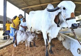 70º Expoagro/AL será lançada dia 28