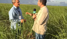Reportagem do Alagoas Rural ultrapassa 77 mil visualizações nas redes