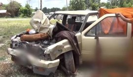 Menino de 11 anos pega caminhonete escondido e mata oito monges atropelados