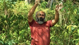 Fazendinha Agroecológica no Flexal garante renda e alimentos saudáveis para Maceió