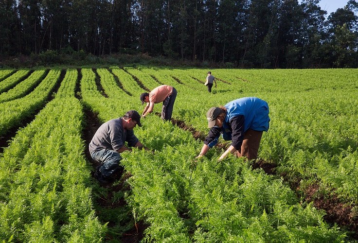 Questão ambiental será principal entrave para produtores rurais