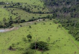 Prazo de entrega da declaração do ITR acaba hoje