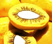 Lula sanciona projeto que estimula produção de frutos do Cerrado