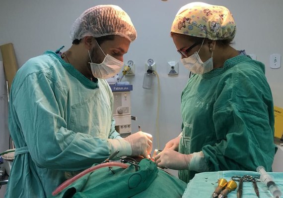 Sesau dobra investimentos e hospital de Arapiraca vira referência em cirurgia da face