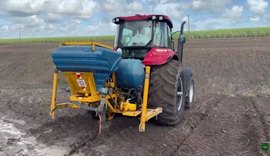 Técnica com “bisturi” feita em AL reduz custos e recupera canaviais