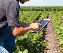 91% dos agricultores brasileiros adotam inovação para enfrentar crises climáticas