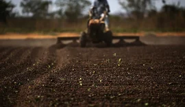 Exportadores de café no Brasil descartam ruptura no fornecimento aos EUA