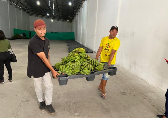 Alagoas Sem Fome: Governo planeja distribuir mais de mil toneladas de sementes para plantio em 2024