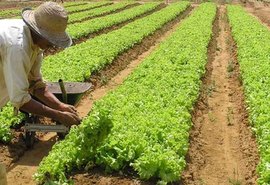 Produtores rurais brasileiros contrataram R$102 bi para financiar a produção