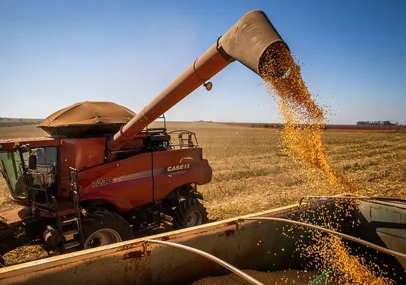 Agro cresce mais de 10% no segundo trimestre de 2025
