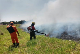 Bombeiros combatem incêndio em imóveis em São Miguel dos Milagres