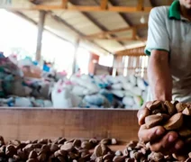 Cooperativas protagonizam novo momento para a sustentabilidade brasileira