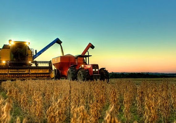 Colheita da soja chega a 95,1% no Brasil