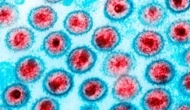 Dois novos casos de possível cura do HIV são revelados em conferência