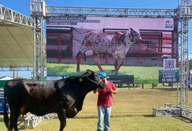 Leilão Mais Leite coloca em foco genética comprovada do Gir e do Girolando