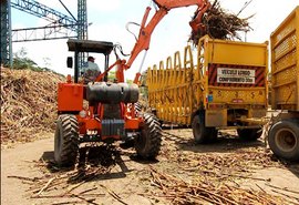 Santo Antônio colhe resultados positivos com variedades RB