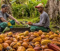 Coopcacau realiza 3º Encontro Estadual dos Produtores de Cacau em AL