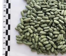 PF cumpre mandados após apreensão de droga enviada pelos Correios em Maceió