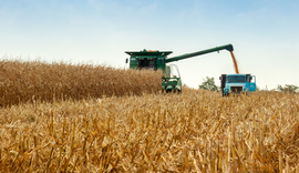 Cédulas de Produto Rural totalizam R$ 561 bilhões em fevereiro