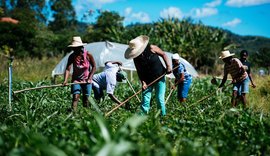 Senado aprova auxílio financeiro para agricultores familiares