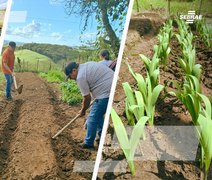 Projeto de flores temperadas avança com 60 mil mudas vendidas e R$ 100 mil em receita