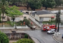 Chuva e ventania derrubam árvore e muro de casa em Maceió