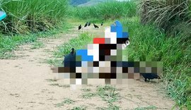 Corpo em estado de decomposição é encontrado na zona rural de Matriz