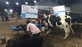 Expo Bacia Leiteira fortalece a pecuária de AL