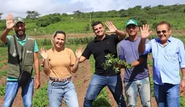 CAPIAL celebra primeiras colheitas do programa de amendoim no Agreste Alagoano