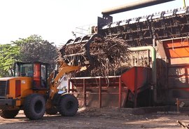 Usinas processaram 5,3 milhões de toneladas de cana