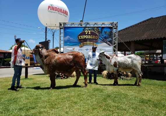 Pecuaristas vão apresentar potencial genético do rebanho na 72ª Expoagro/AL