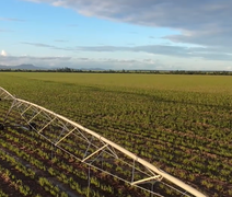 Vídeo do AL Rural sobre pivô de irrigação na Usina Porto Rico viraliza na web