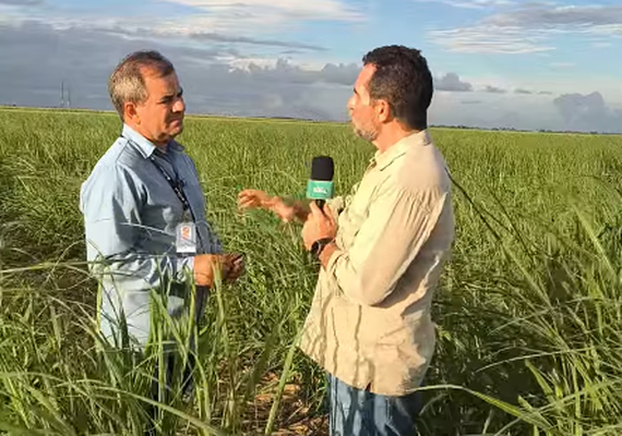 Reportagem do Alagoas Rural ultrapassa 77 mil visualizações nas redes