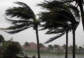 Municípios do interior de Alagoas entram em alerta para ventos fortes